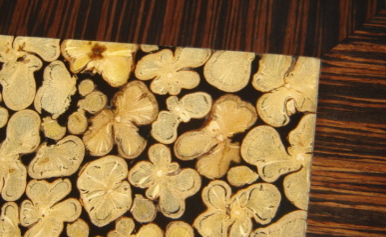 chapilla
